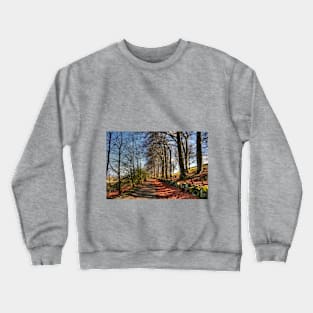 Platt Hill Lane Crewneck Sweatshirt